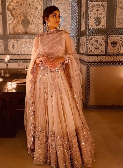 Bridal Velvet Trumpet Style Lehenga Choli With All-Over Floral Mughal  Pattern Zari, Dori, Sequins Work And Soft Net Dupatta | Exotic India Art