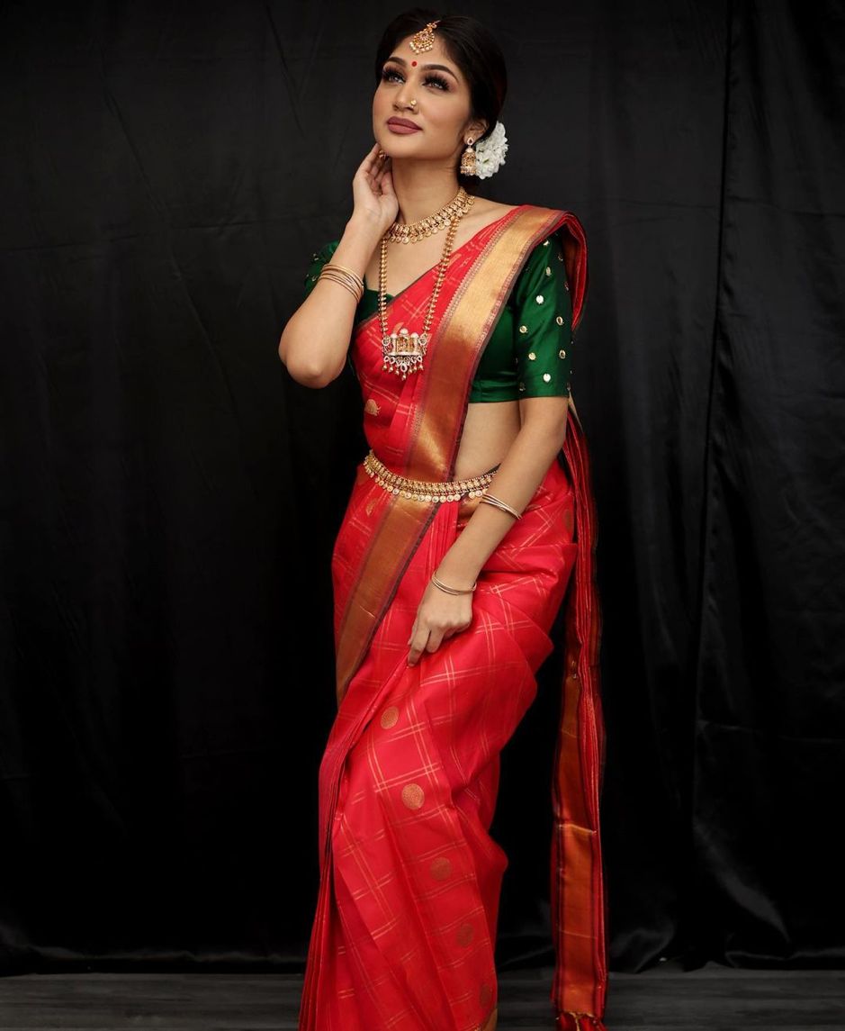 Dark Red Net Saree for Wedding | net saree design 2022