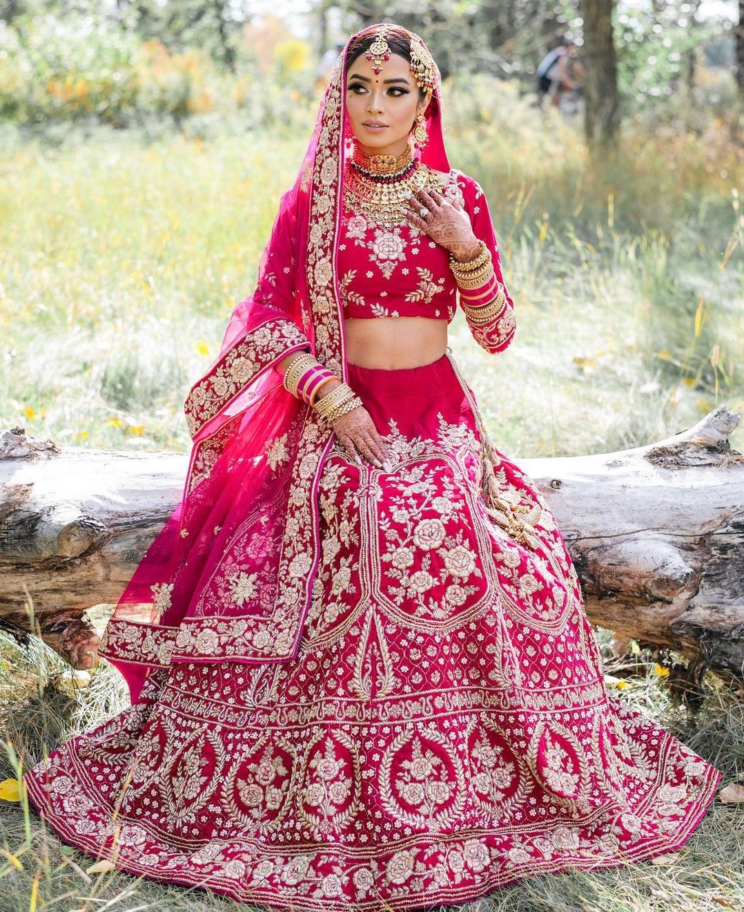 Red/Pink/Green Bridal Lehenga – AnAya By Shivani