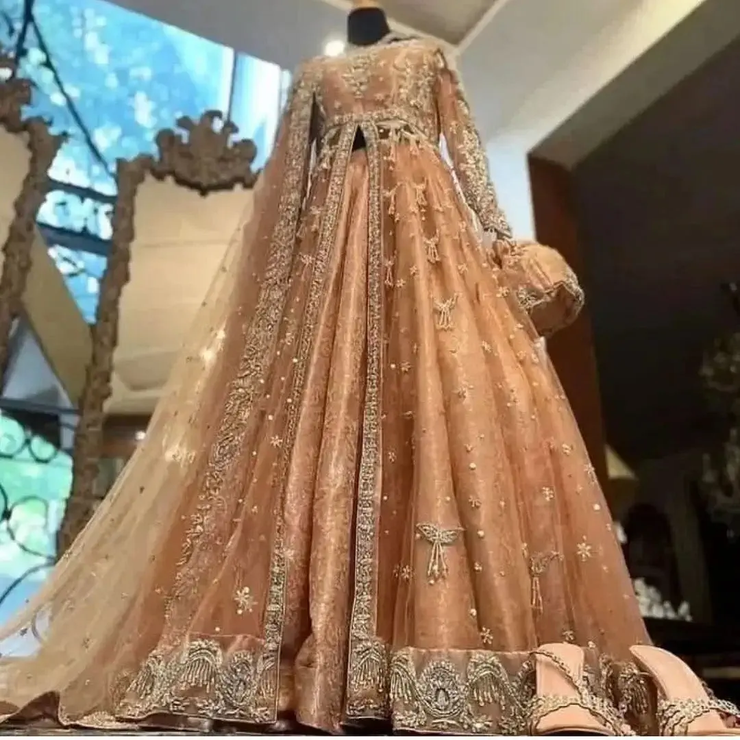 Pakistani Bridal Dresses 27